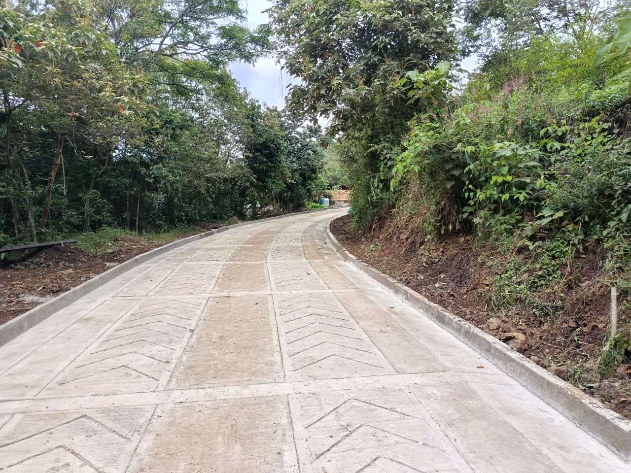 Proyecto RYOCA